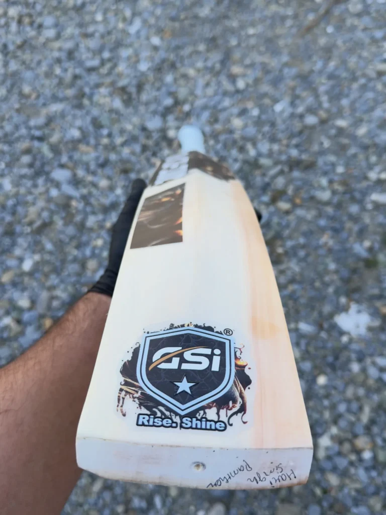 Back, with the Rise. Shine sticker