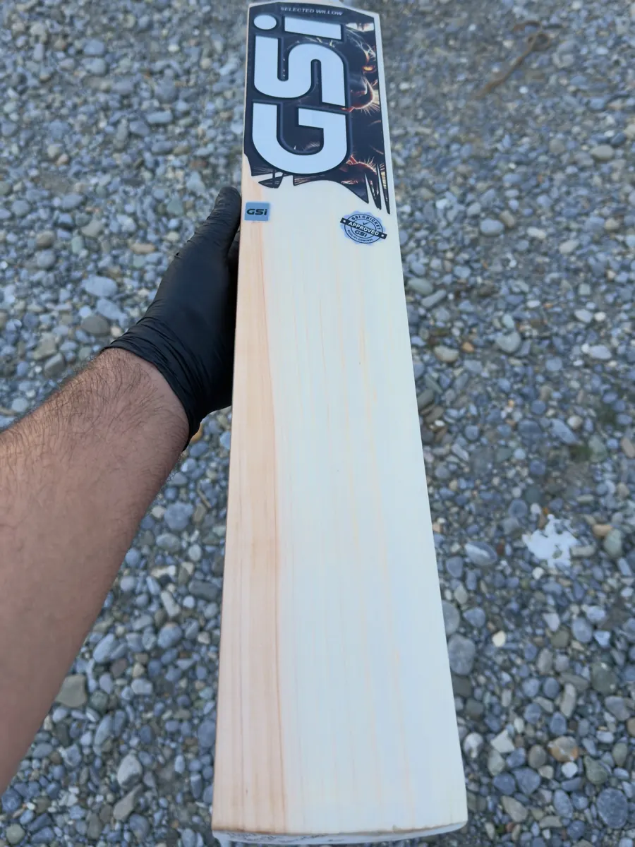 A GSI Kashmir willow bat