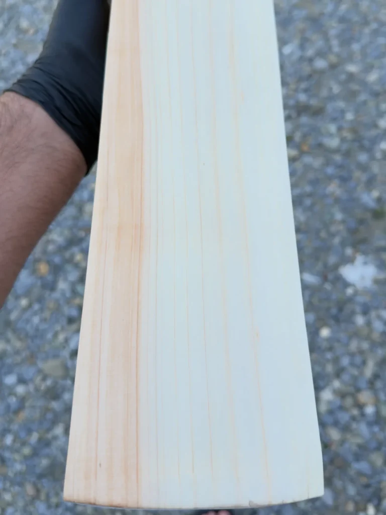 Grain close-up