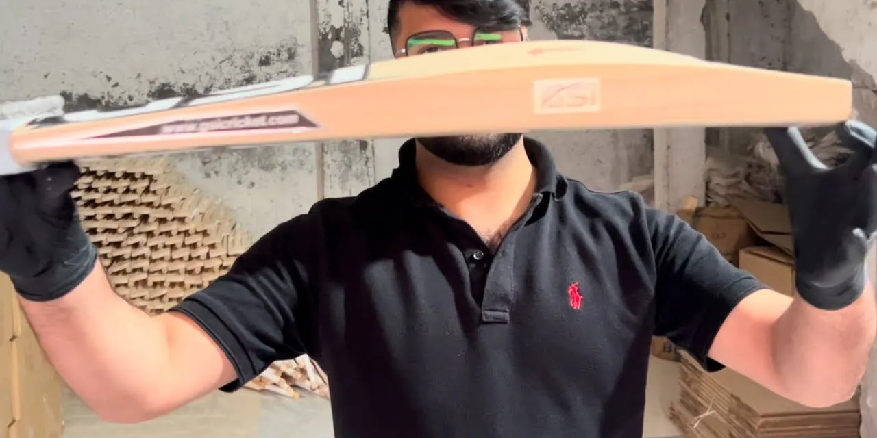 A GSI English willow bat